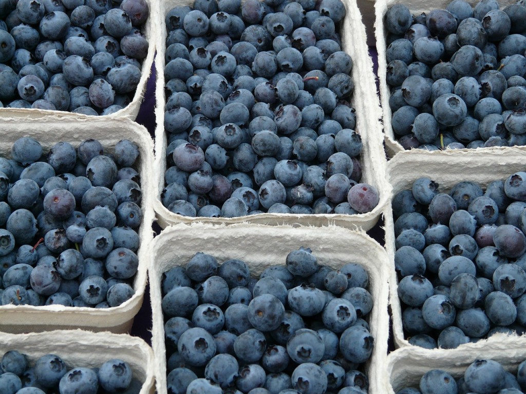 blueberry-61510_1280